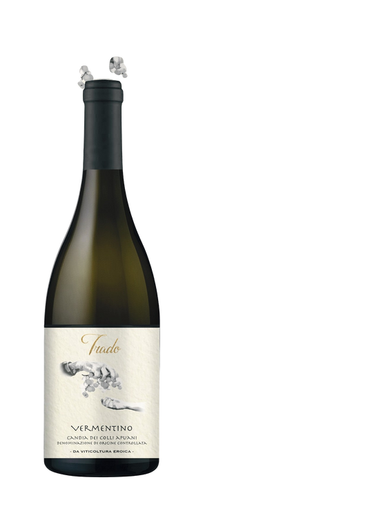 Vermentino candia dei colli apuani